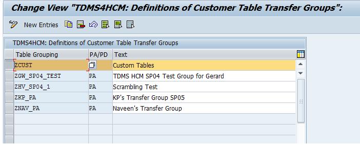 Figure 21: A Newly-Defined Table Transfer Group Save your entries.