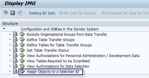 Execute the activity Assign Objects to a Selection ID to create the