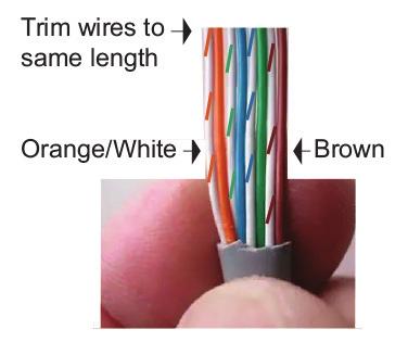 Process The wire color arrangement shown in this process is EIA/TIA 568B. Either EIA/TIA 568B or 568A can be used to make the cables, but all cables should be of the same type. 1.