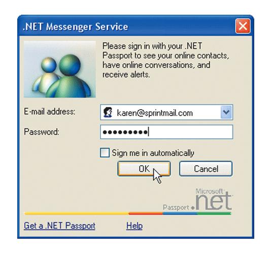 Other Internet Services What is instant messaging (IM)?