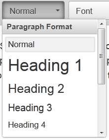 Paragraph Format: This function allows a user to select from a set of pre-formatted text styles.