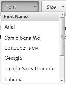 throughout the Activity Font: Using the font dropdown a user can select a font other than the default for use in