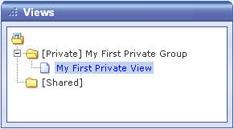 Newly created view appearing under group Tip: A group, whether private or shared, can contain an unlimited number of views. More than one private and shared group can exist.