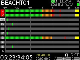Track Arming All tracks along with their signal levels, are visible on the Main Screen.