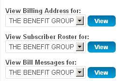 Current Subscriber Breakdown: This option provides a comprehensive view of the billing statement, broken up by current subscriber categories.