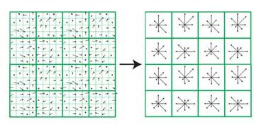 Figure 3: Grid aggregation for SIFT/MoSIFT feature descriptors. Pixels in a neighborhood are grouped into 4x4 regions.