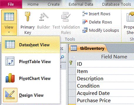 Switch to Datasheet View to see the Lookup field you just created. Select Datasheet View from the View button.