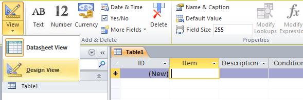 Once you re done adding them, your table will look like the following: Click on Item. Notice that the Data Type & Formatting group shows you the Data Type for this item.
