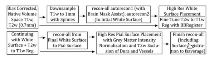 FreeSurefer Pipeline segment the volume (ribon and CIFTI subcortical parcels) white and pial cortical surface definition standard surfaces registration (to fsaverage) addon : Initial Mask 1 mm to 0.