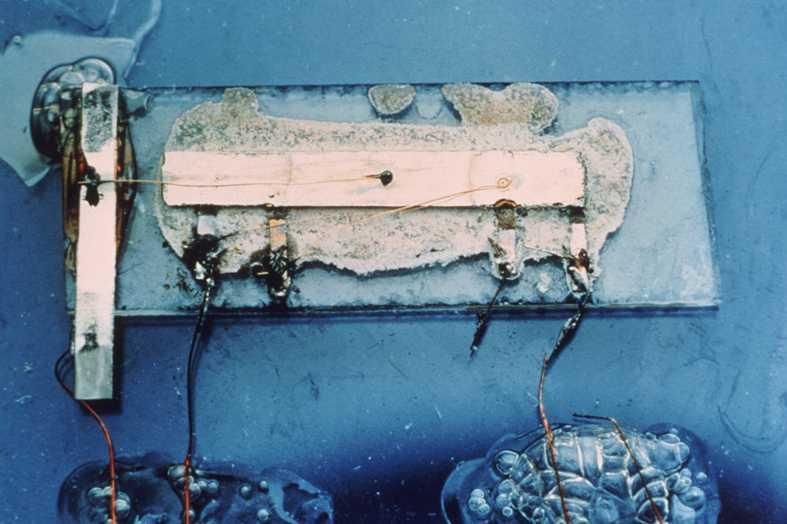 First integrated circuit (IC)