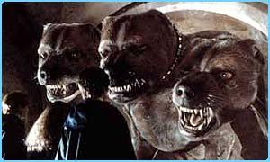 Kerberos: etymology The 3-headed dog that guards the entrance to Hades Fluffy, the 3 headed dog, from Harry Potter and the
