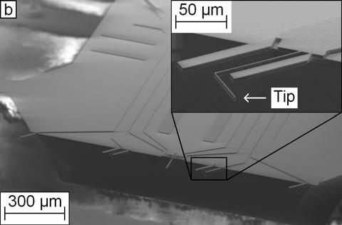 The laser beam was scanned in straight lines across the sample surface with a step size of 3.