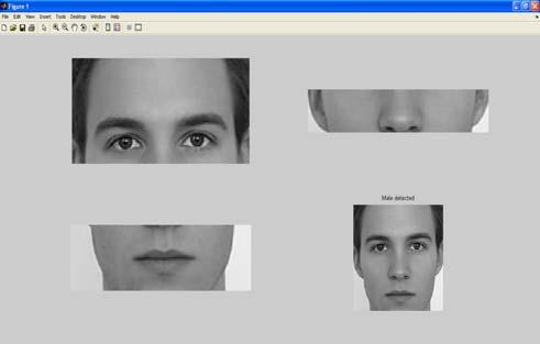 When to classify the gender, first to detect the face, once the face is detected then to extract the features by using Viola Jones Algorithm, once the features are extracted then to apply the back