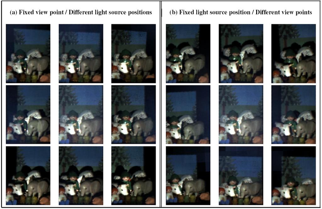 Figure 4.4: An 8D reflectance field acquired using Symmetric Photography.