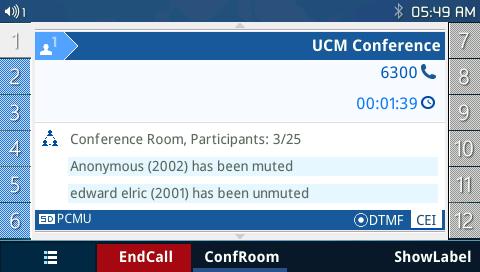 An admin will also have more options in the conference menu page such as lock/unlock.