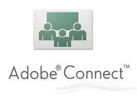 Adobe Connect will work from anywhere anytime? True / False 6. Personnel from outside DoE (without DoE accounts) can participant True / False in an Adobe Connect? 7.