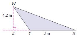 ) Find the area of each triangle. 42.