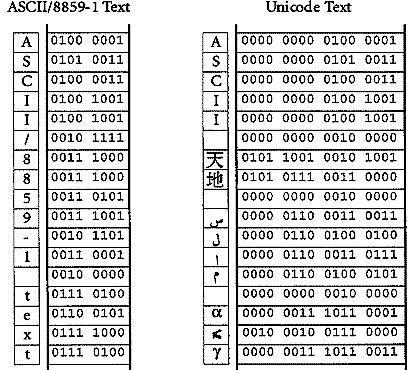 representations: String ( I love Java ) Integer (12, 34, 3345 ) Characters (ASCII vs