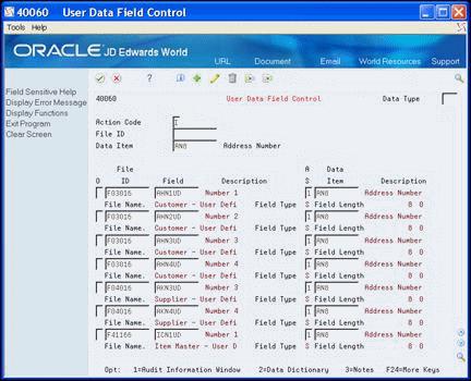 Setting Up User Data Field Controls Figure 2 1 User Data FIeld Control screen Field Data Type File ID Data Item Field Explanation A user defined code (40/UD) that allows user defined data to be