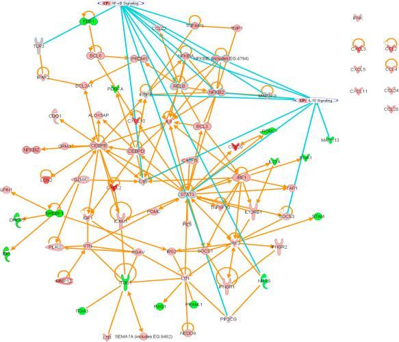 Figure 3: A Network generated by Metacore Software [32] III.