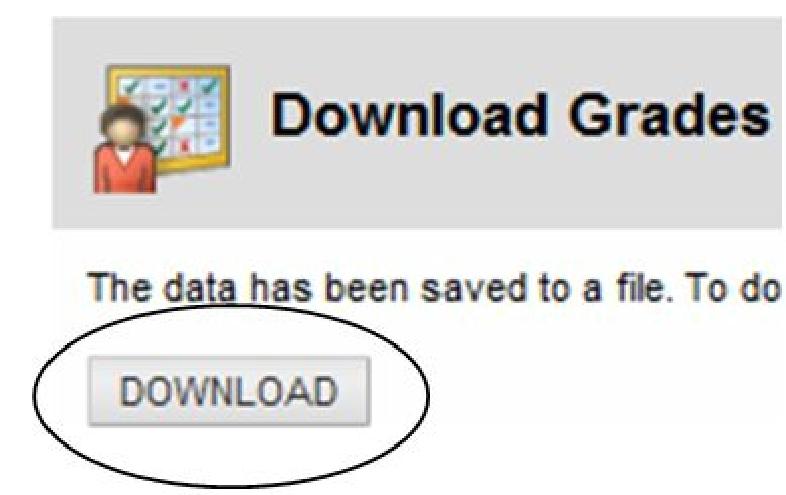 5. Select whether to Include Hidden Information in the downloaded data. Hidden information includes columns and students that have been hidden from the view in the downloaded file. 6.