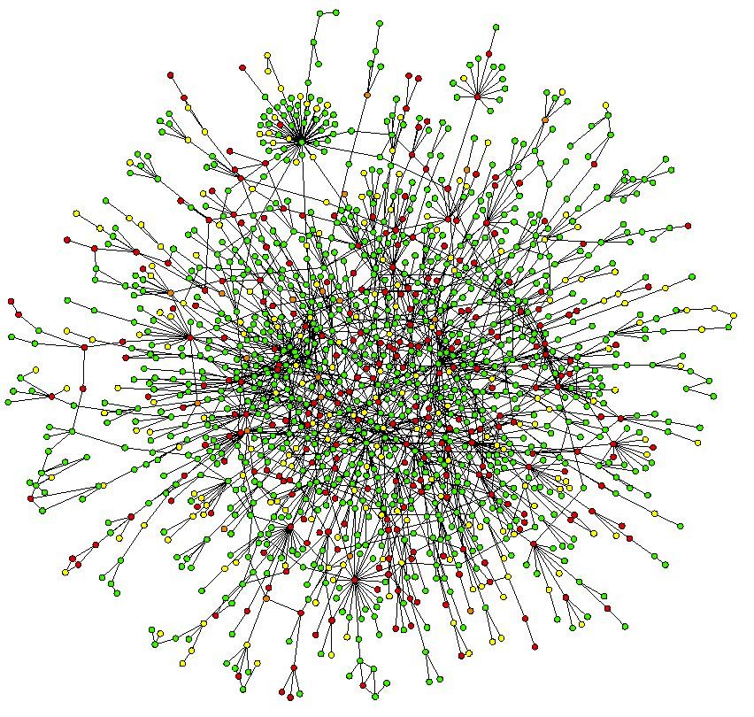 information networks biological networks neural networks he internet