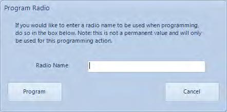 3. Tool Suite prompts the user to name the radio. This name is programmed into the device as the Radio Name. Either enter a name and click Program or leave the field blank and press Program.