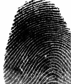 A sample fingerprint image and its synthesized degraded quality counterparts generated using SL=[255 28 96 ; 64 32 6], respectively weak classifiers.