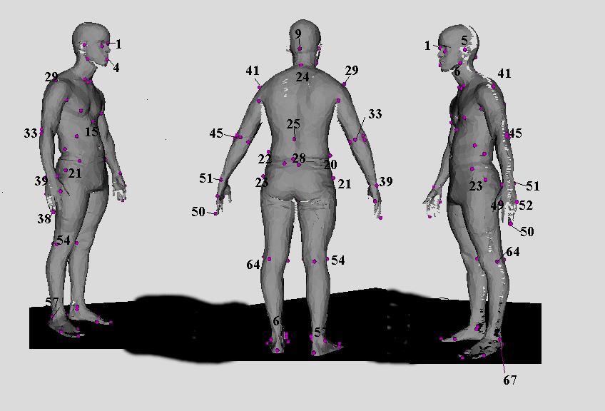 The obectve of ths study was to represent, n three dmensons, the anthropometrc varablty of the cvlan populatons of Europe and North Amerca and t was the frst successful anthropometrc survey to use 3