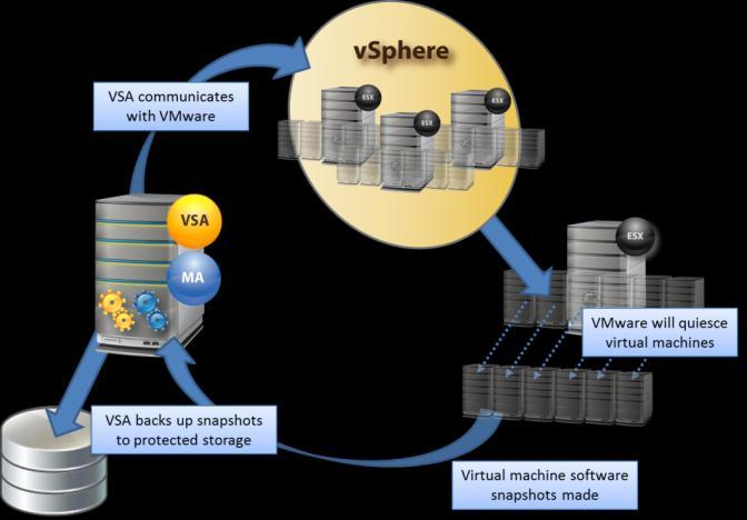 Protecting Virtual Environments - 173 The following diagram illustrates the VSA software snapshot and backup process in a VMware environment using a VSA proxy server.