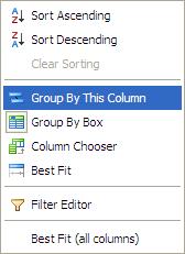 To group by a column, right-click the required column header and select Group By This Column.