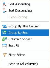 To hide or display the Column Grouping box, right-click on any column header: To hide the Column Grouping box, select Group By Box. To redisplay the Column Grouping box, select Group By Box again.