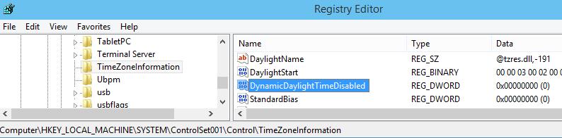 value name DynamicDaylightTimeDisabled changes from a 0 to a 1.