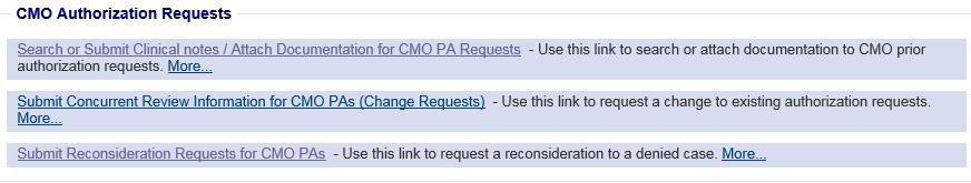Provider Workspace CMO PA Functions CMO Authorization