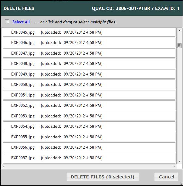 DELETING IMAGES/FILES Clicking the DELETE FILES link on the Images tab of the Qualification Details page allows the user to delete files individually for an exam.