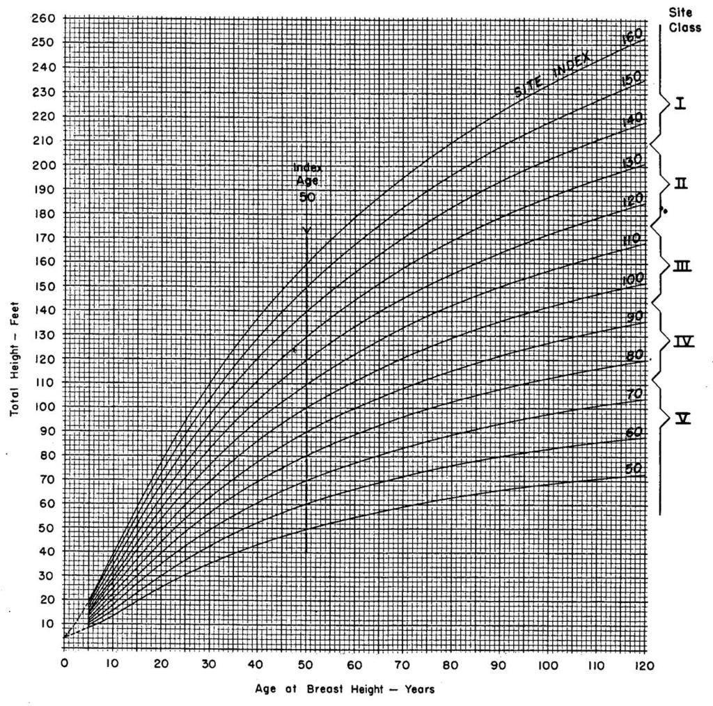 Figure 7-3: Example site index curves for Douglas-fir (From: King, J.E. 1966. Site index curves for Douglasfir in the Pacific Northwest. Weyerhaeuser Forestry Paper, No. 8, Weyerhaeuser Co.