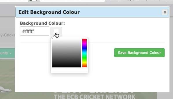 Add background colour Selecting the Add BG Colour option allows you to change the colour of the page throughout your website. There is no option to select a different colour for individual pages.