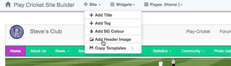 Add a header image From the Site drop down list, select Add Header Image to display the Header Image widget settings.