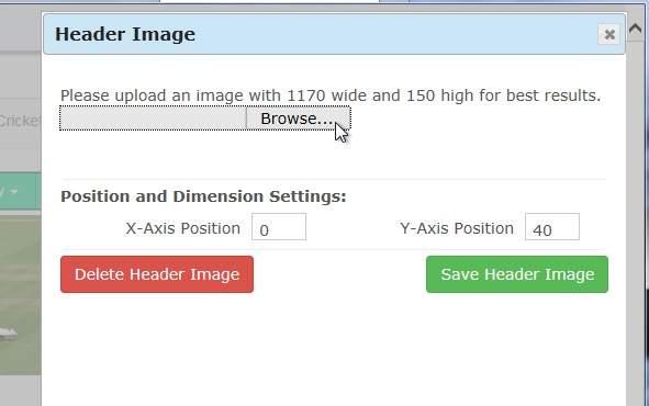 If the image is not the correct size, you may find that it interferes with the look of the Home page in Site Builder.