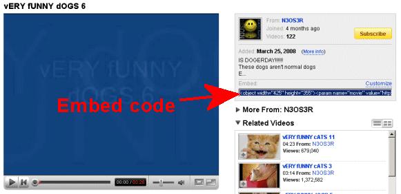 provided by other websites. It's possible to embed videos, forums and pretty much anything else you can imagine.