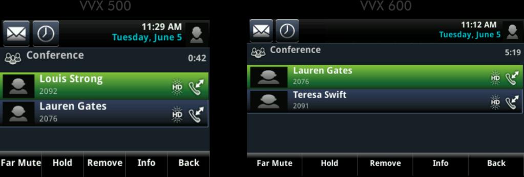 Polycom VVX 500 and Polycom VVX 600 Business Media Phones User Guide To manage a person in a conference call: 1 Set up an active conference call. 2 From Active Call, Lines, or Calls view, tap Manage.