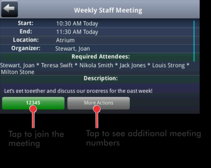 The Calendar displays Meeting view, which may list alternate numbers you can call.
