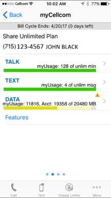To get more detail on your Talk, Text and Data usage, from the main