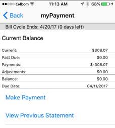 mypayment/mybill Information To view invoice information, from the main menu tap My Bill.