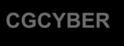 CGCYBER Designated Computer Network Defense