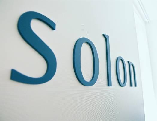 Solon Management Consulting GmbH & Co.