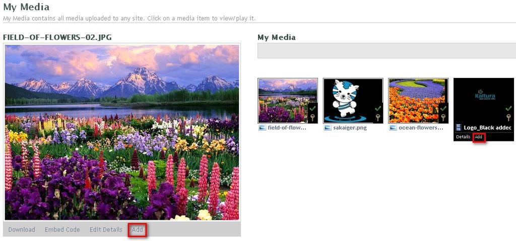 What is the Kaltura Video Tool for Sakai? 3. Adding media directly from My Media a. Go to My Media b. Click Add from below the Media item you want to add or from below player c.