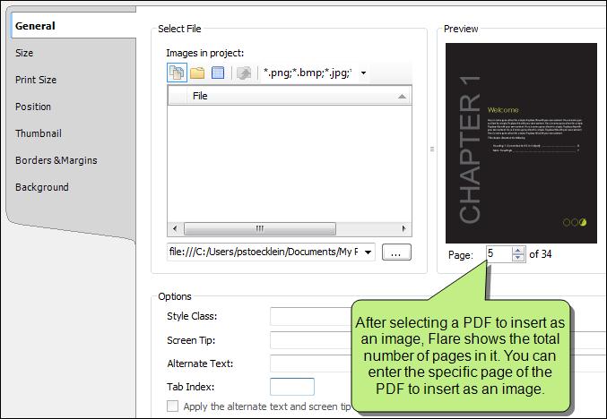 INSERT PDF FILES AS IMAGES You can insert pages from PDFs as images.