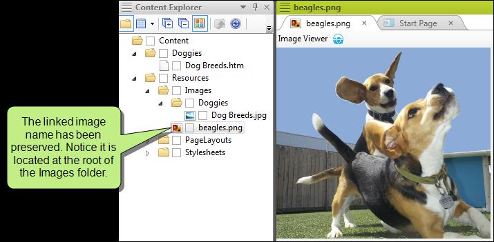 E X A M P L E Let's say you have a Word document called "Doggies." Within this document you have an h1 called "Dog Breeds.
