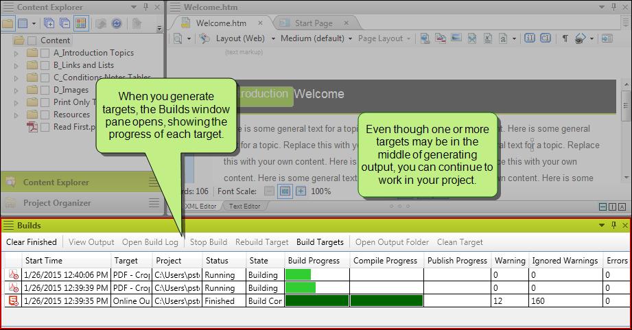 Builds Window Pane When you generate a target from Flare's user interface, the Builds window pane opens at the bottom of the interface.